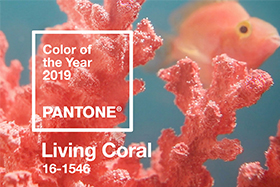 2019 Colors of the Year