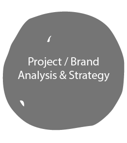 Project/Brand Analzsis and Strategy