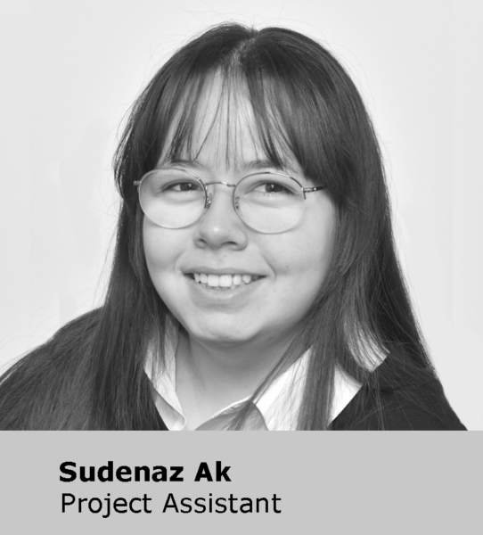 Sudenaz_Ak_Project_Assistant_5_Star_Plus_Retail_Design